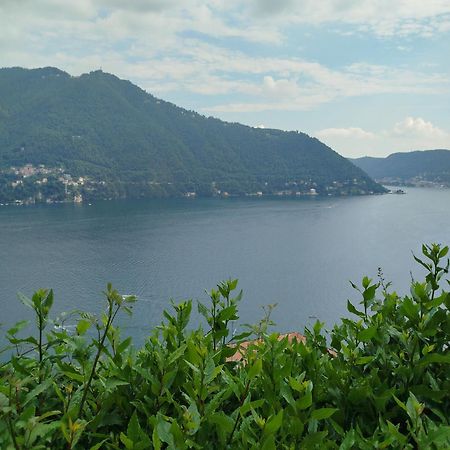 Willa Little Garden House Cernobbio Zewnętrze zdjęcie